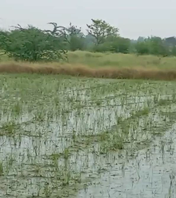 Badli, Haryana 124105, India