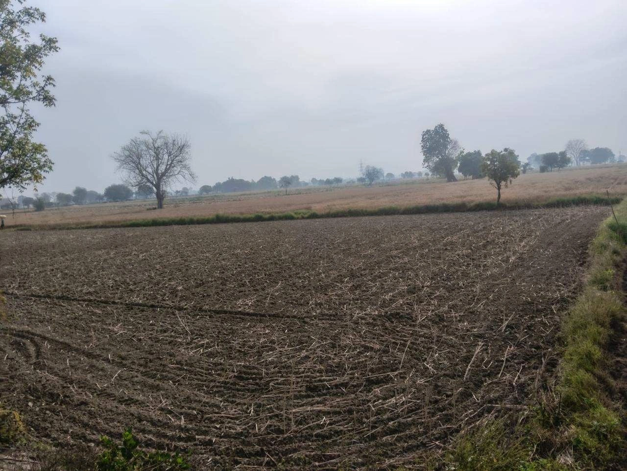 JH8W+QRP, Hamirpur(HP), Bharthia, Uttar Pradesh 281406, India