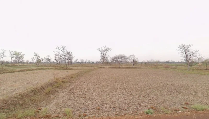 Mohra, Chhattisgarh, India preview 2