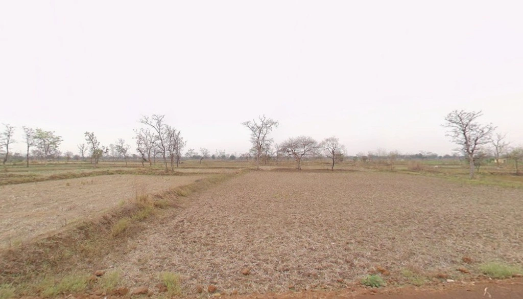 Mohra, Chhattisgarh, India