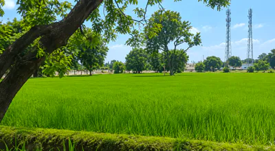 Gorihar, Chhatarpur, Madhya Pradesh 471516, India preview 2