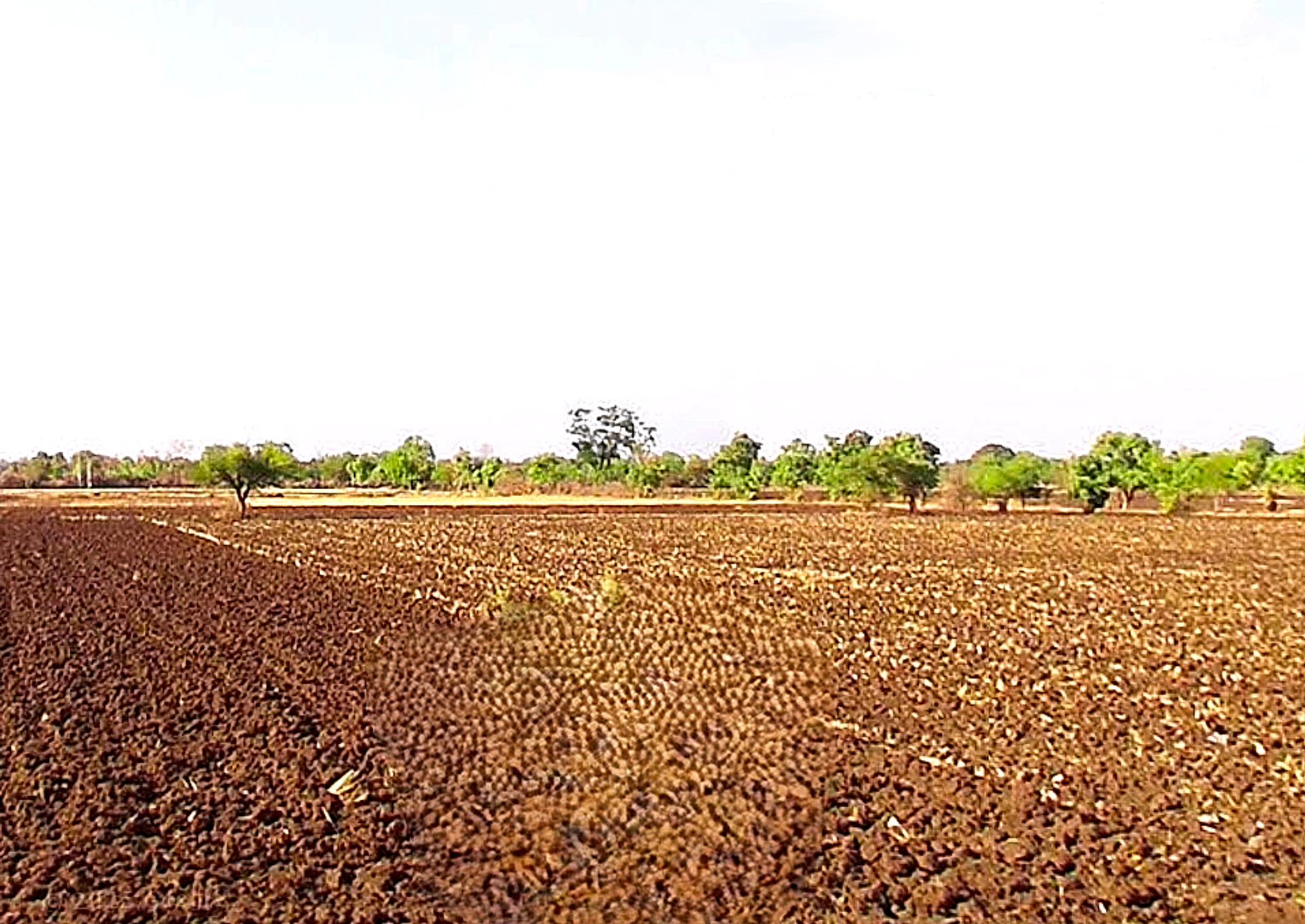 Rehti, Madhya Pradesh 466446, India