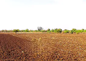 Rehti, Madhya Pradesh 466446, India preview 3