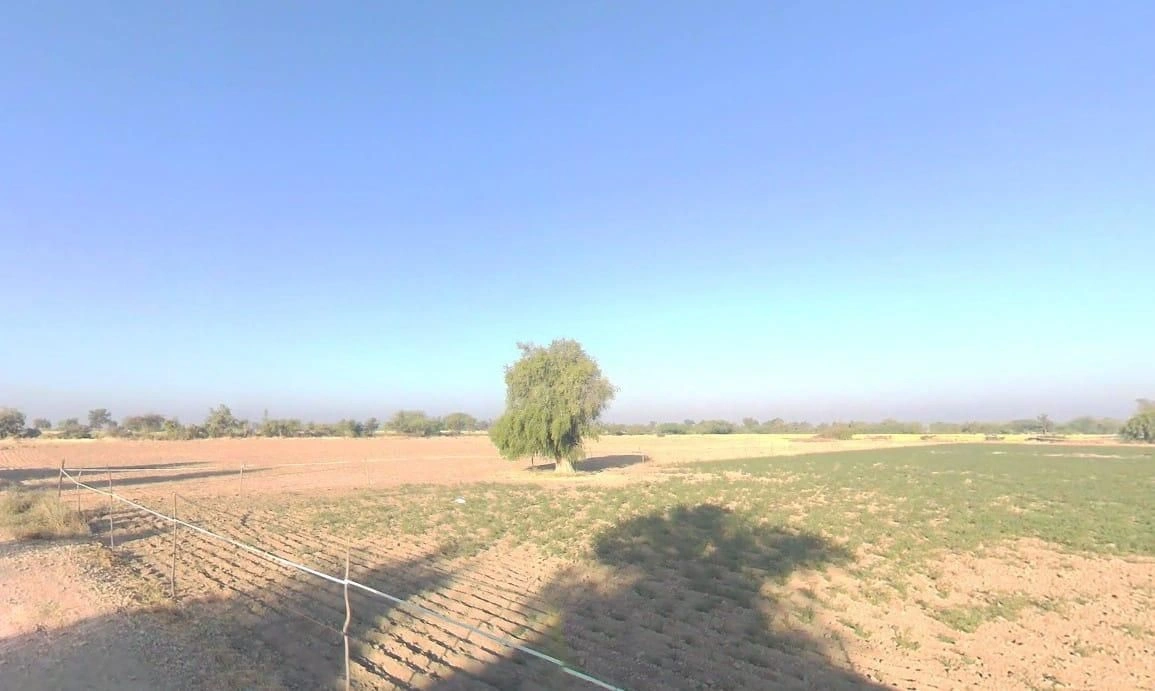V5VM+XGF, Bandai, Rajasthan 306421, India