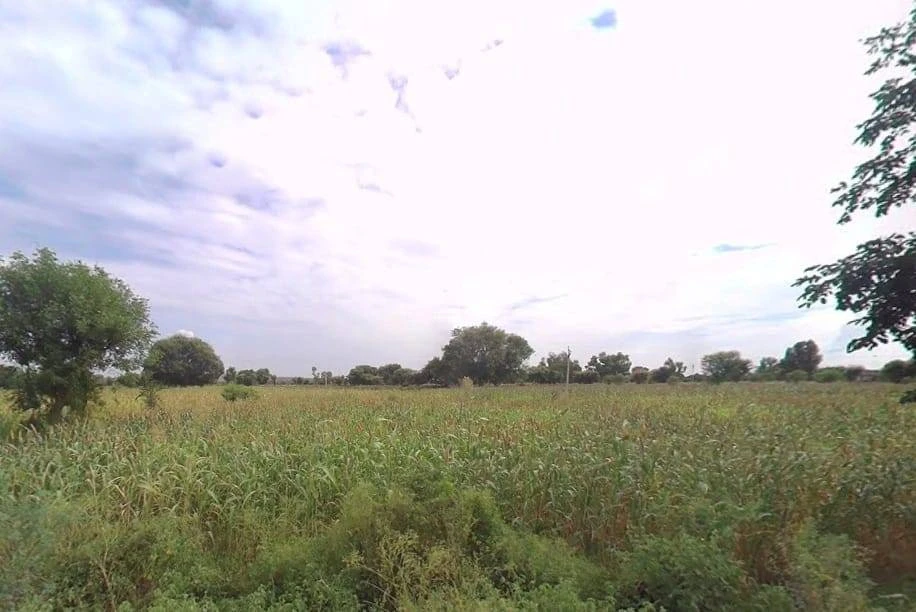 Pinan, Rajasthan, India