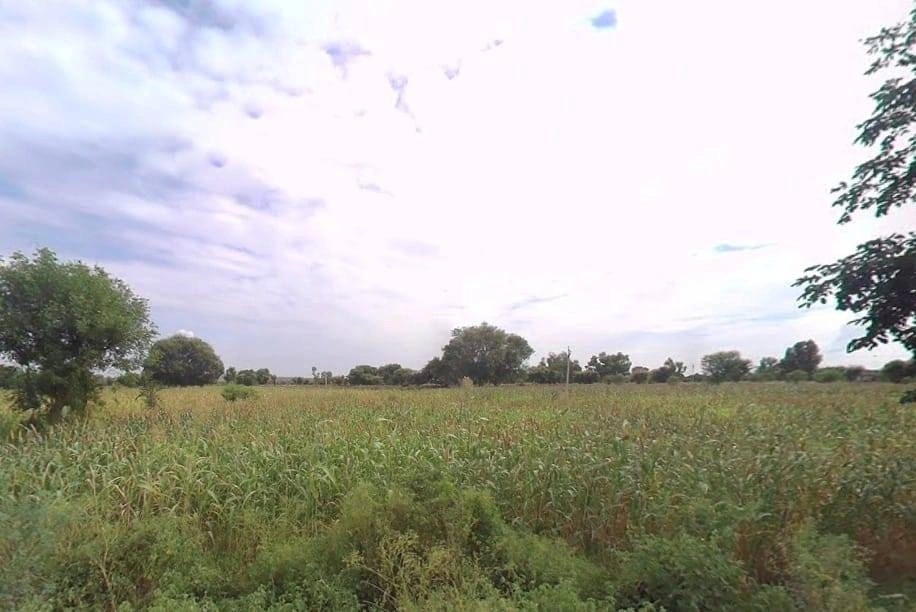 Pinan, Rajasthan, India