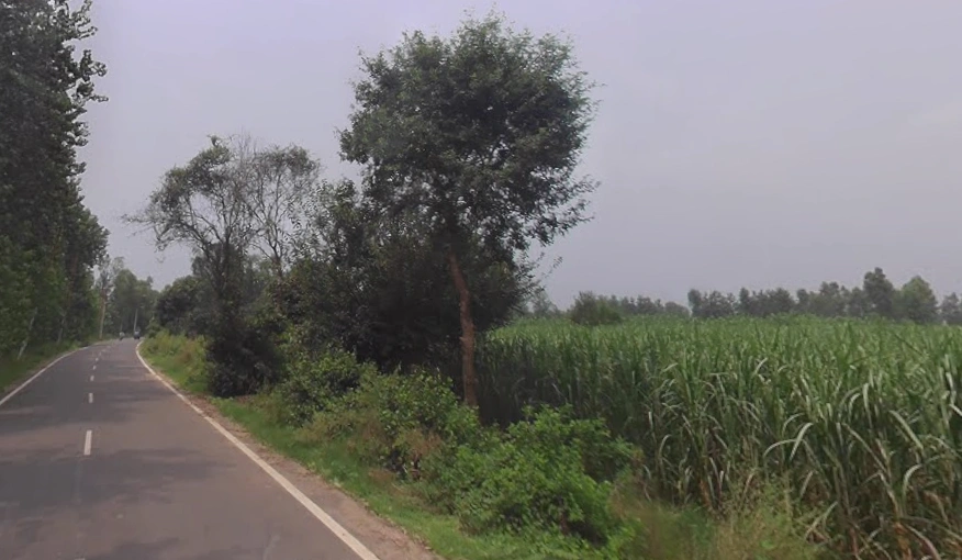 Behat, Uttar Pradesh 247121, India