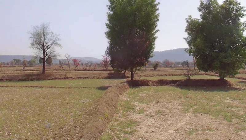 Nagoi, Chhattisgarh, India preview 2