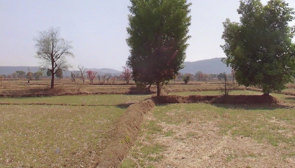 Nagoi, Chhattisgarh, India