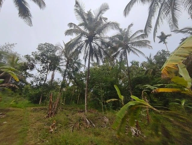 R5QV+2Q Padichira, Kerala, India preview 3