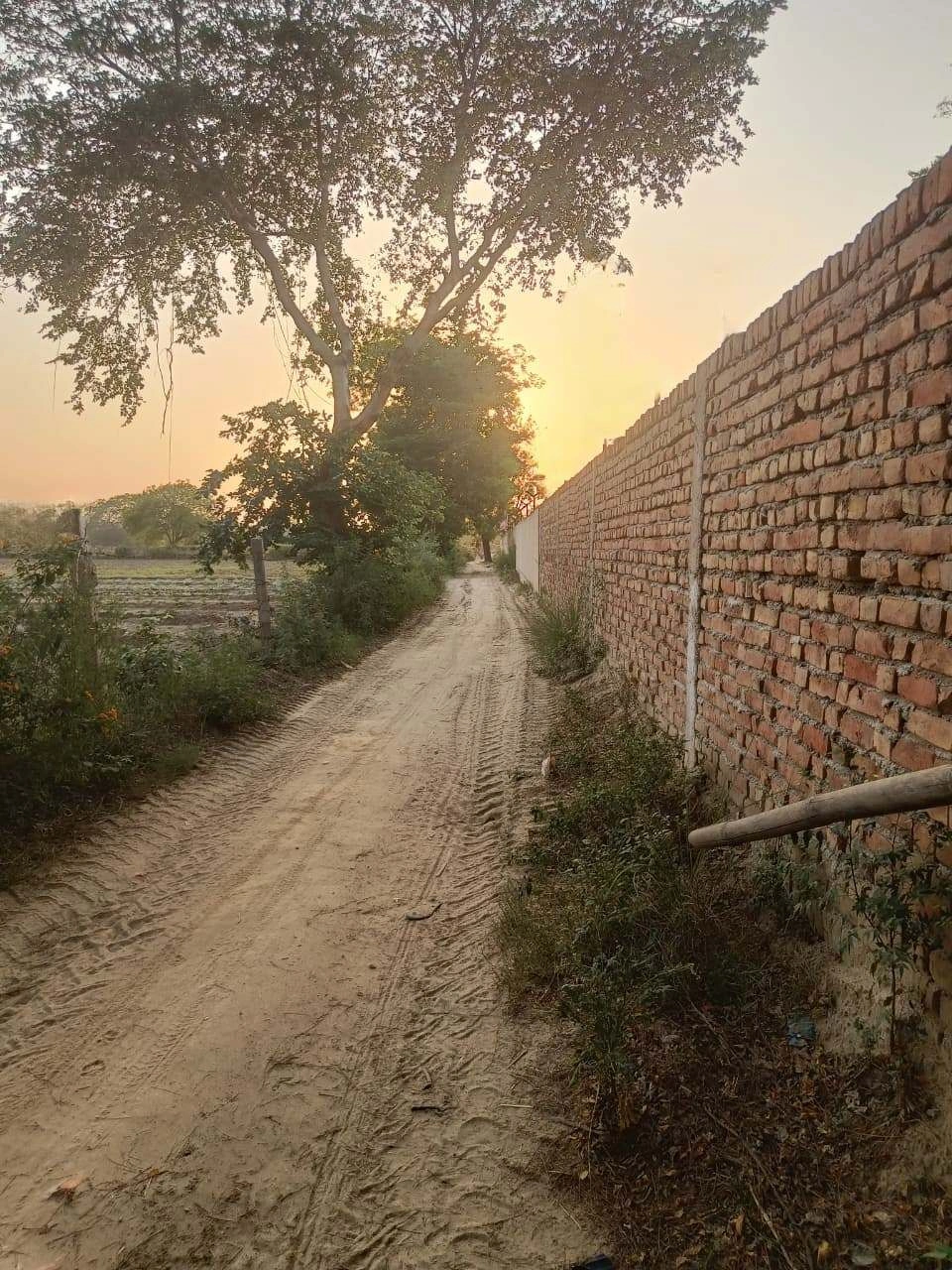 Chandauri, Uttar Pradesh, India