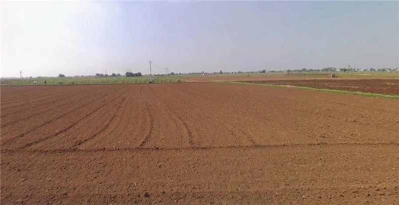 Mankol, Gujarat, India