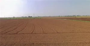 Mankol, Gujarat, India preview 2