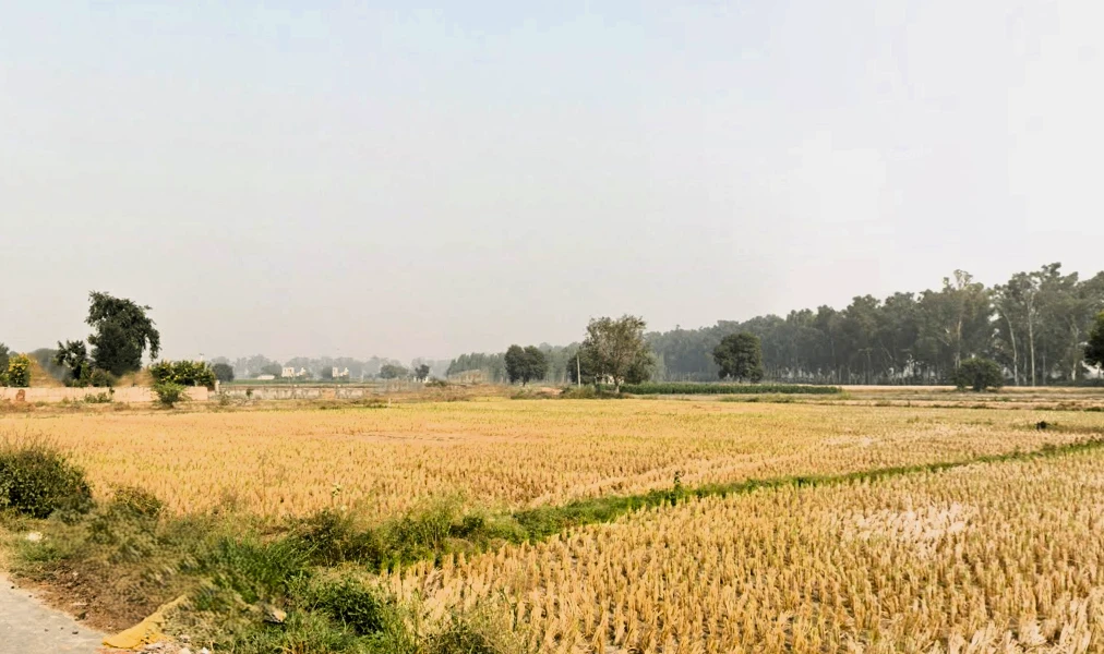 Rohtak, Haryana, India
