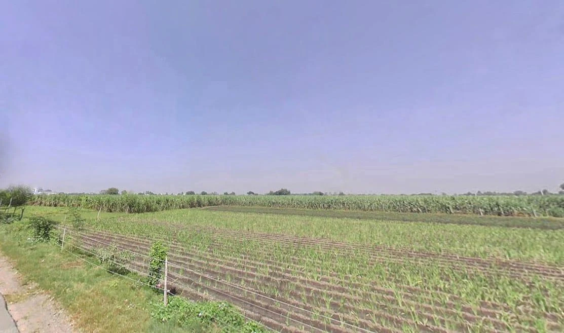 7RCC+H98, Tisang, Uttar Pradesh 251314, India