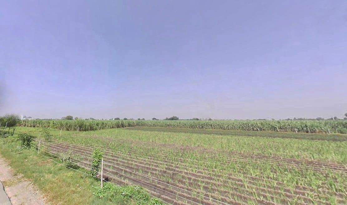 7RCC+H98, Tisang, Uttar Pradesh 251314, India