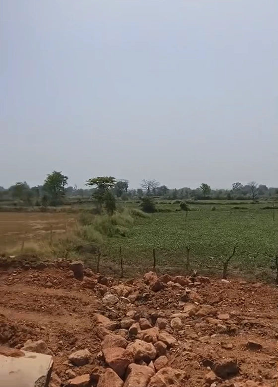 Mungwani, Narsinghpur, Madhya Pradesh 487001, India