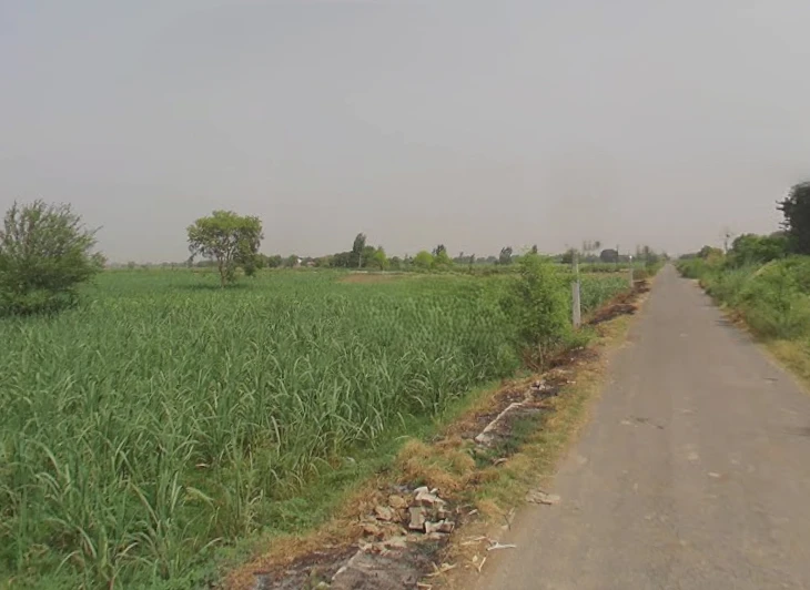 Pitowas, Uttar Pradesh 203408, India