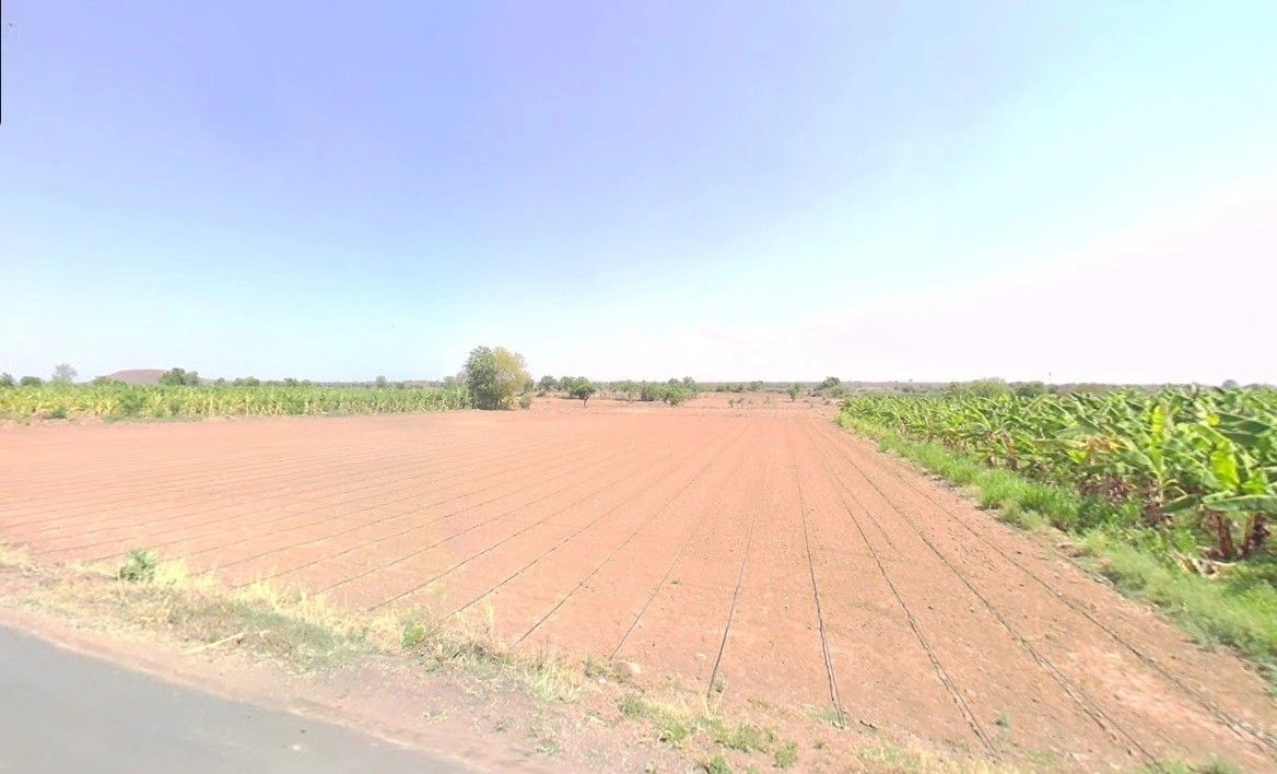 4HW5+VQM, Bijoramafi, Madhya Pradesh, India preview 2