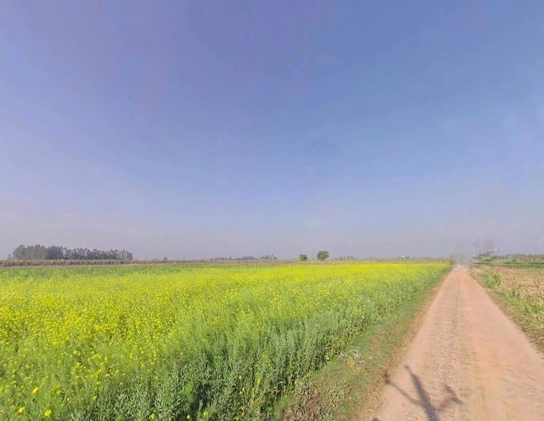 Mawana, Uttar Pradesh, India