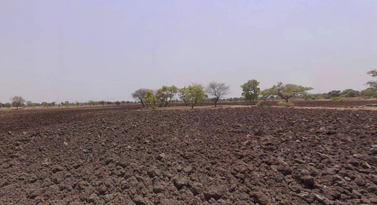 Susner, Madhya Pradesh 465447, India