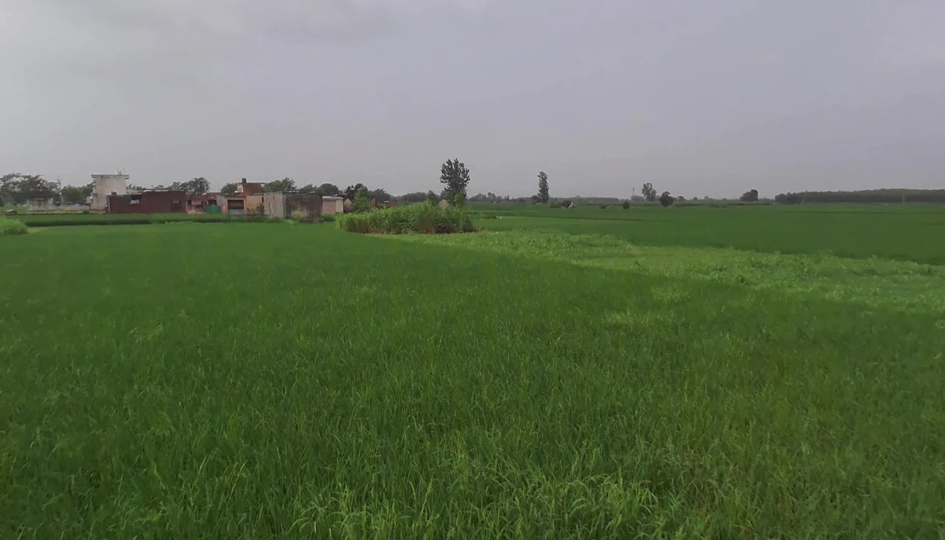 Nahan, Himachal Pradesh 173001, India
