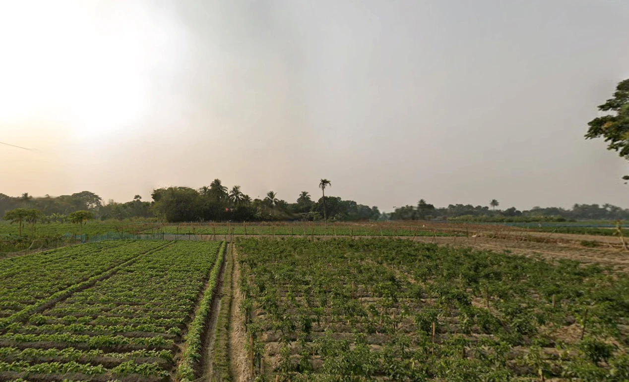 HFPR+85C, AA II, Newtown, Chakpachuria, West Bengal 700160, India