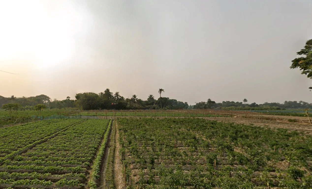 HFPR+85C, AA II, Newtown, Chakpachuria, West Bengal 700160, India preview 3