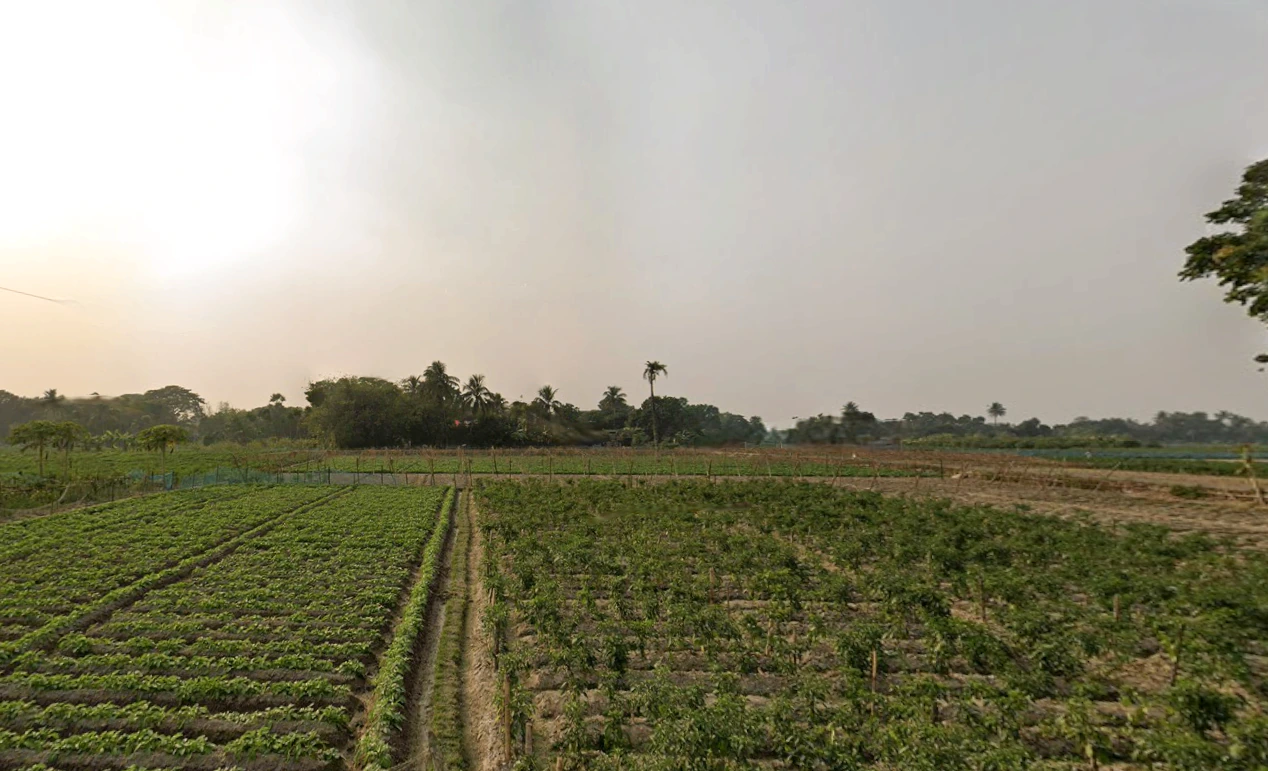 HFPR+85C, AA II, Newtown, Chakpachuria, West Bengal 700160, India