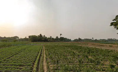 HFPR+85C, AA II, Newtown, Chakpachuria, West Bengal 700160, India preview 3