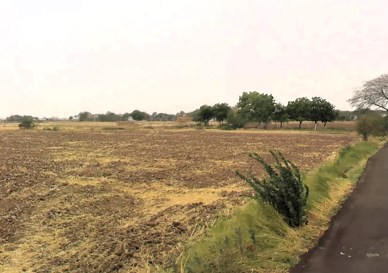 Luhari, Haryana 124108, India preview 2