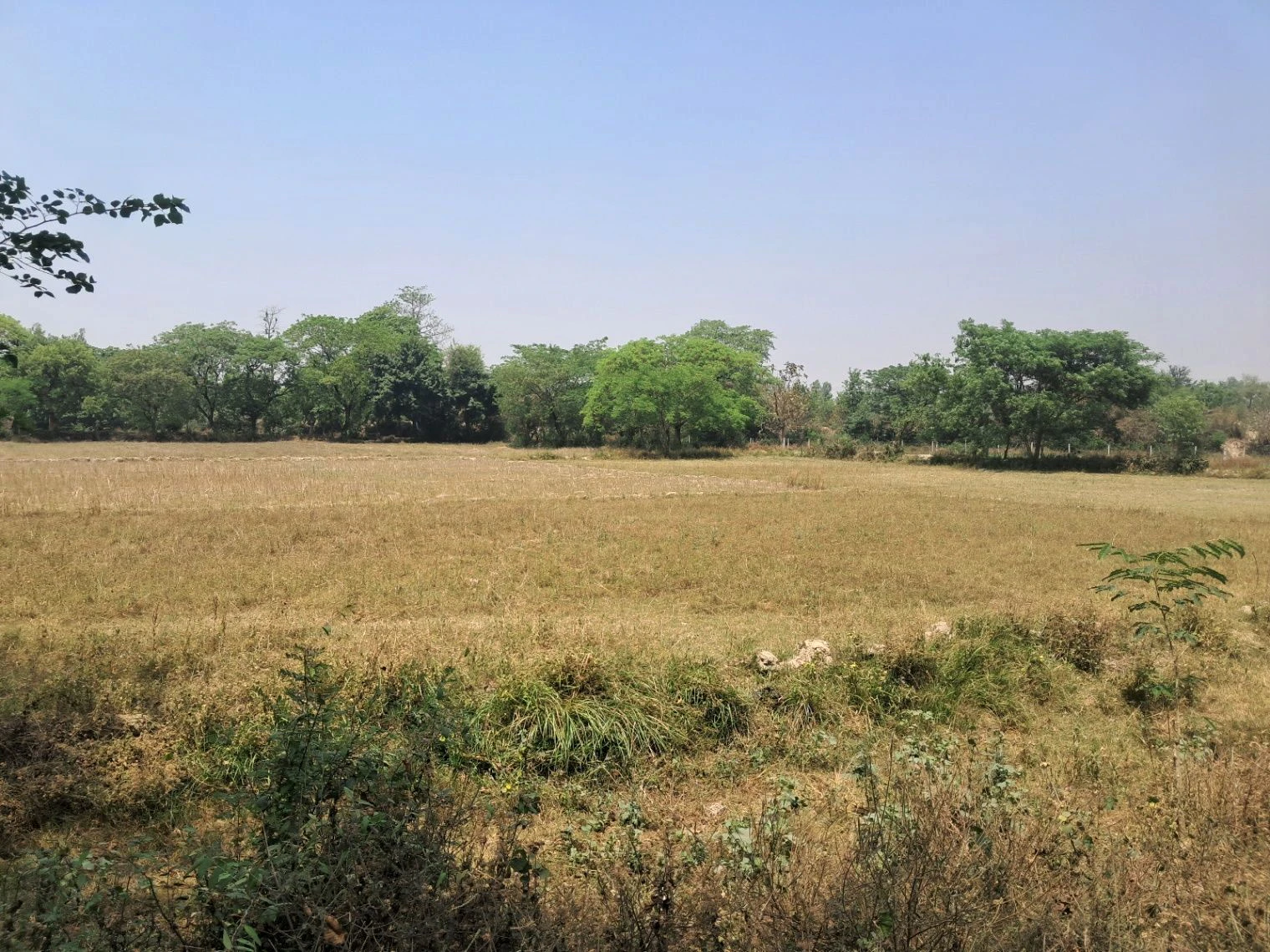 Q54H+48, Faizabad, Uttar Pradesh 224135, India