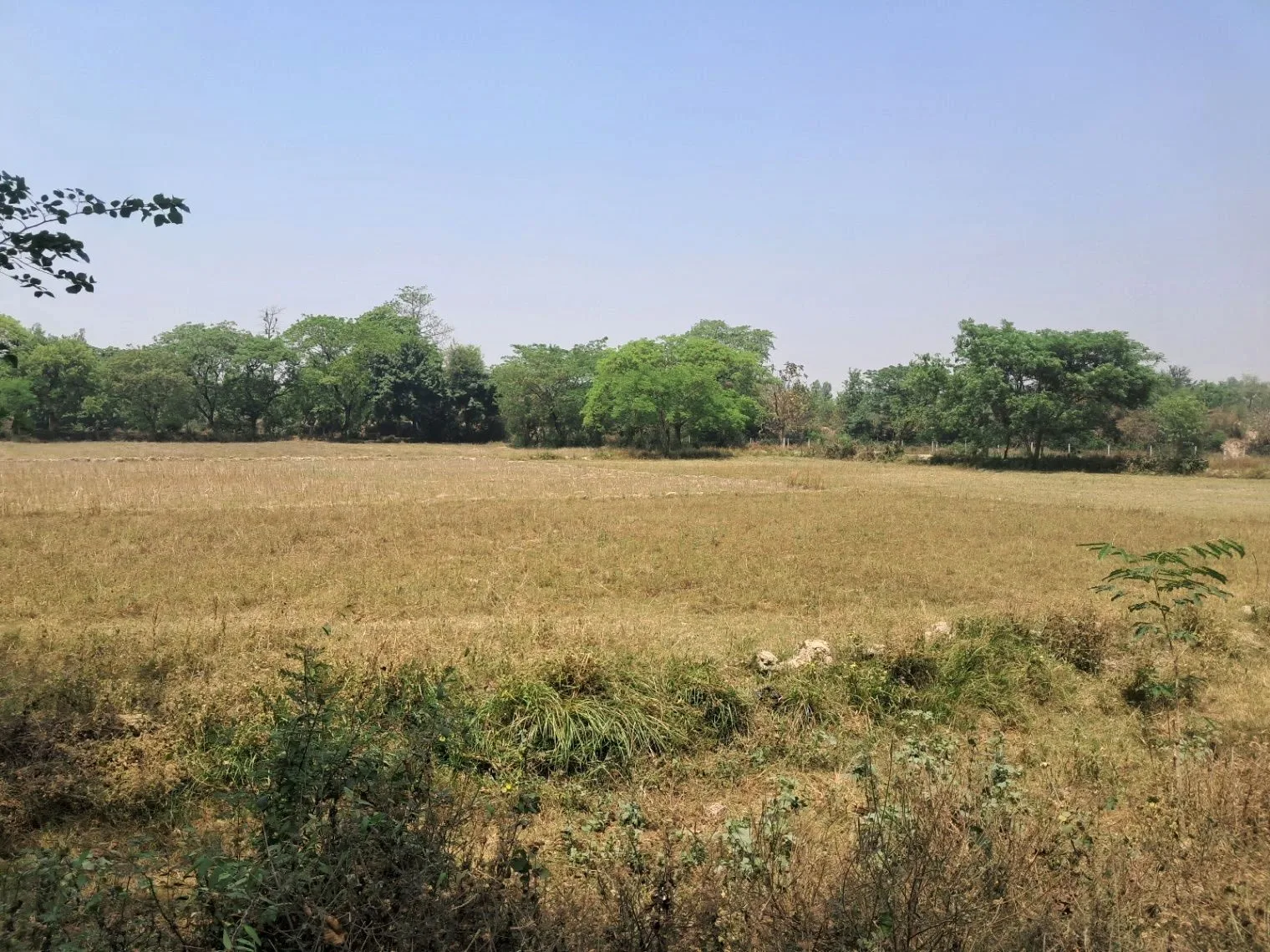 Q54H+48, Faizabad, Uttar Pradesh 224135, India