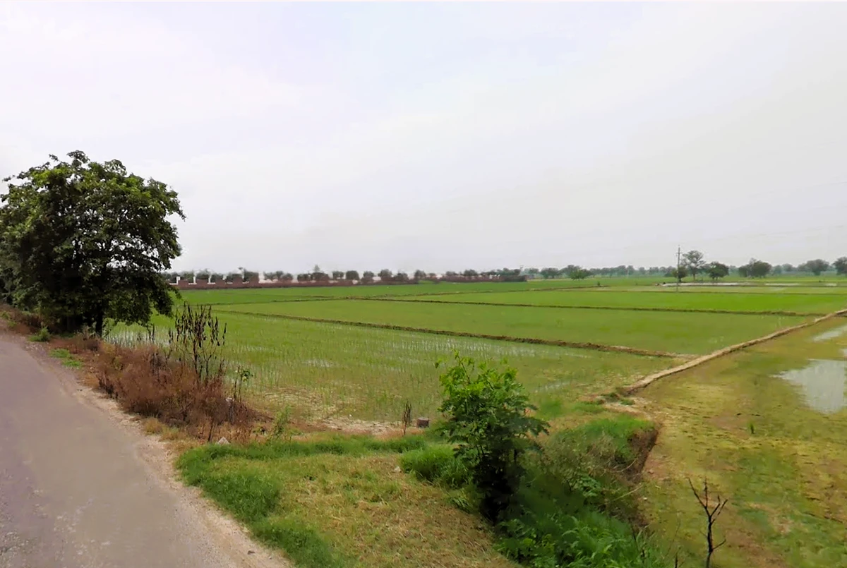 Bhalaut, Haryana 124401, India