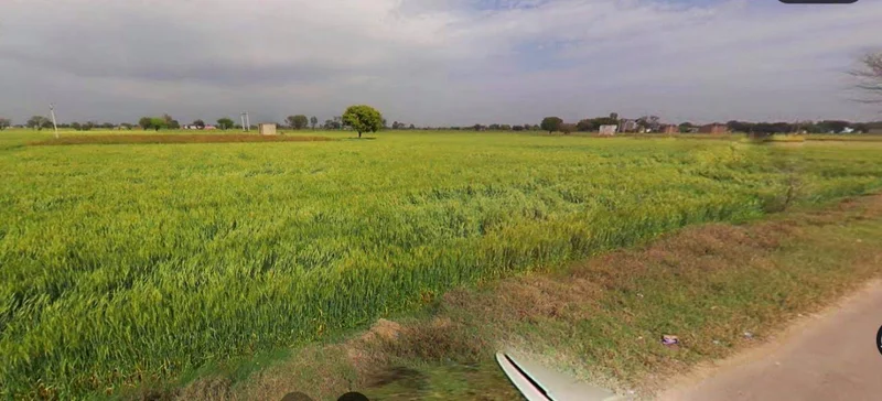 Lucknow, Uttar Pradesh, India preview 3