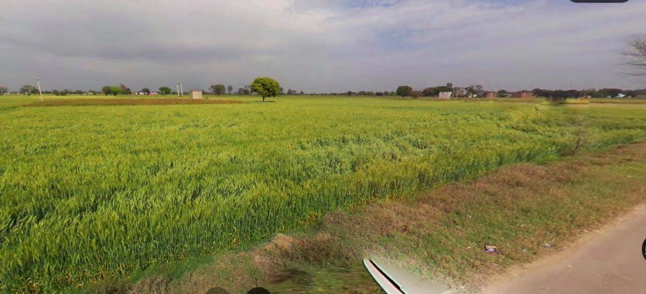 Lucknow, Uttar Pradesh, India