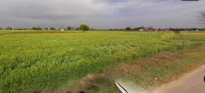 Lucknow, Uttar Pradesh, India preview 3