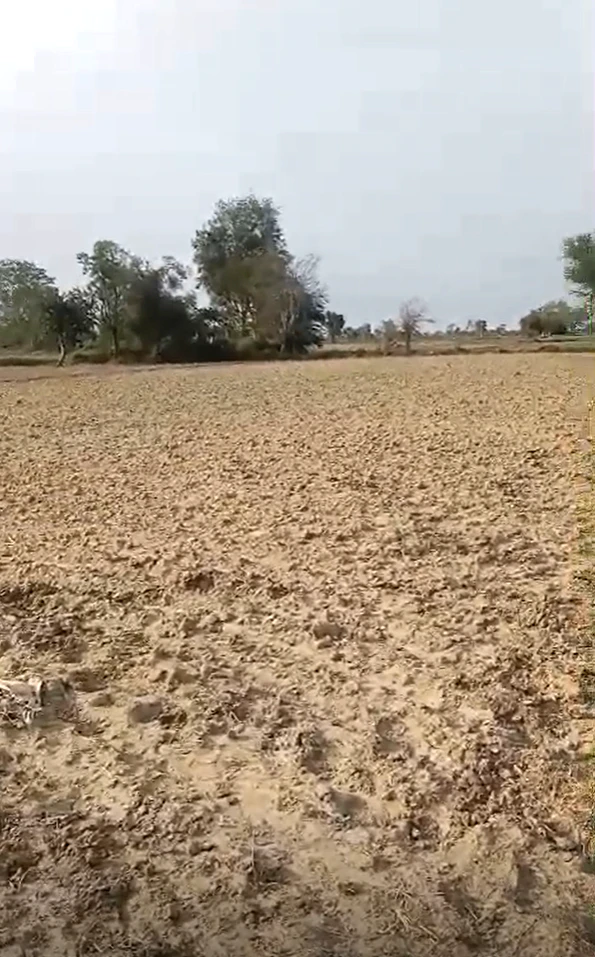 Weir, Rajasthan 321408, India
