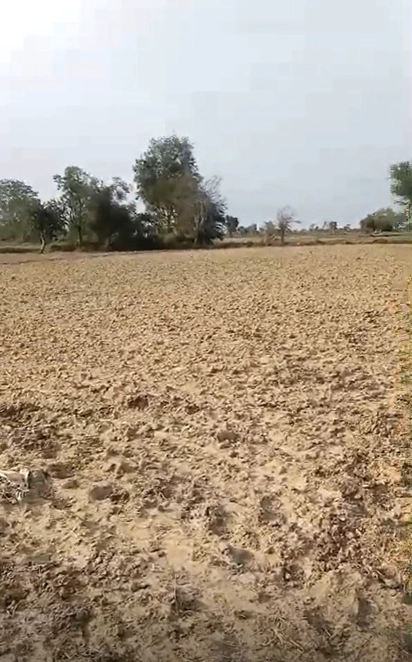 Weir, Rajasthan 321408, India