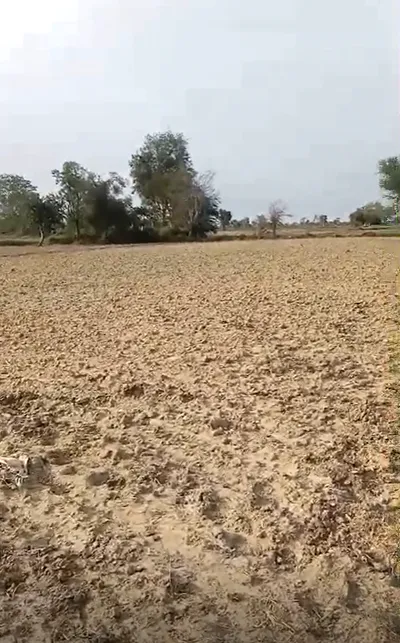 Weir, Rajasthan 321408, India preview 3