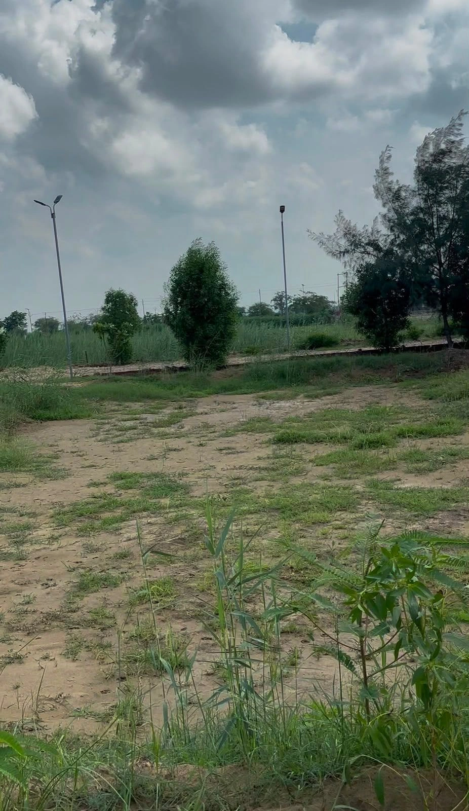 Kokilavan, Mathura, Vill Post, Bathain Kalan, Kokilavana, Uttar Pradesh 281403, India