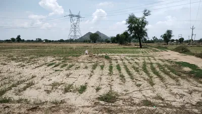 Tanda, Uttar Pradesh 244925, India preview 2