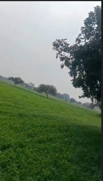 X74H+VHP, Dewas, Sarsoda, Madhya Pradesh, India