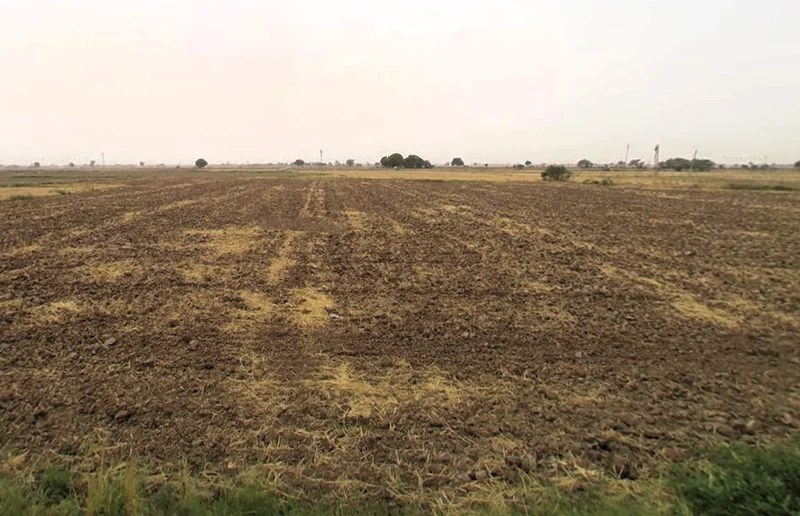 Luhari, Haryana 124108, India preview 3