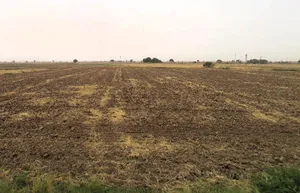 Luhari, Haryana 124108, India preview 3