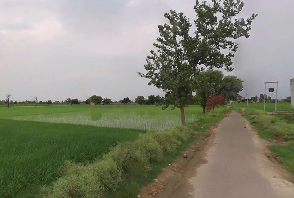 Narauli, Uttar Pradesh 244414, India