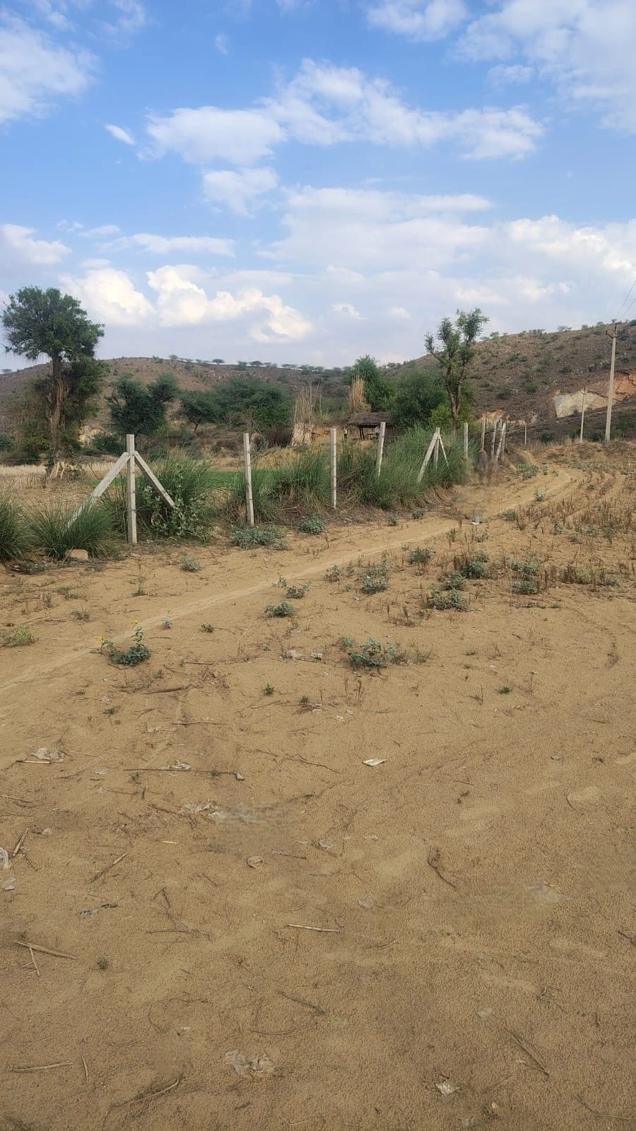 Pinan, Rajasthan, India