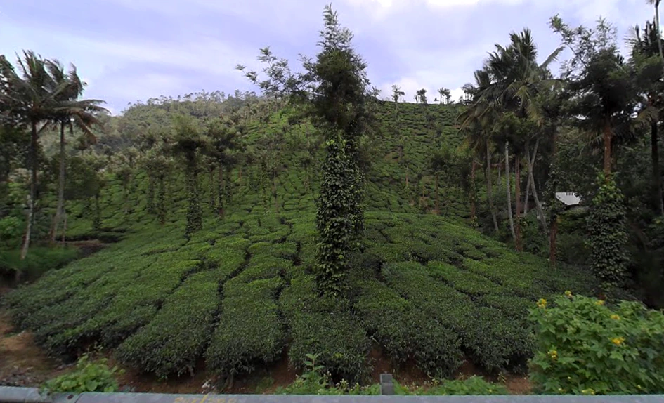 Kumily, Kerala, India