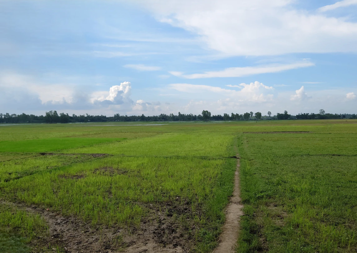 Badgaon, Chhattisgarh, India