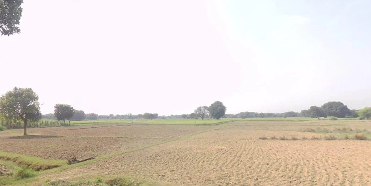 Chargawan, Madhya Pradesh 482003, India